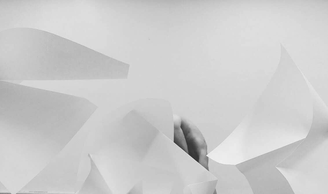 Flesh and Origami by Michael O’Connor